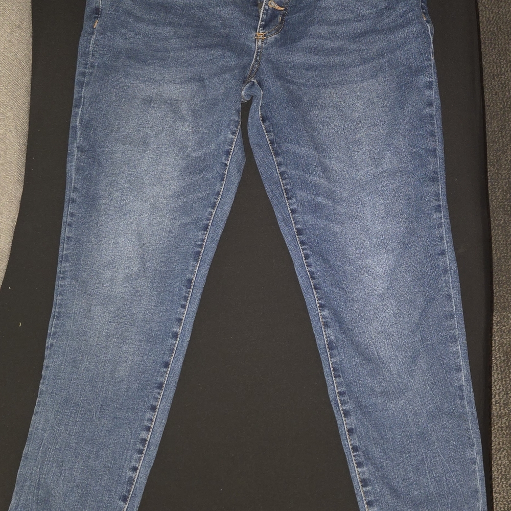 Tahari Women's Skinny Jeans in Blue